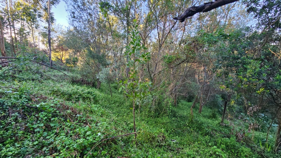 Commercial Property for Sale in Sedgefield Rural Western Cape